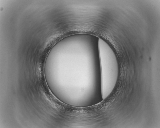 X0000086890688200704161006