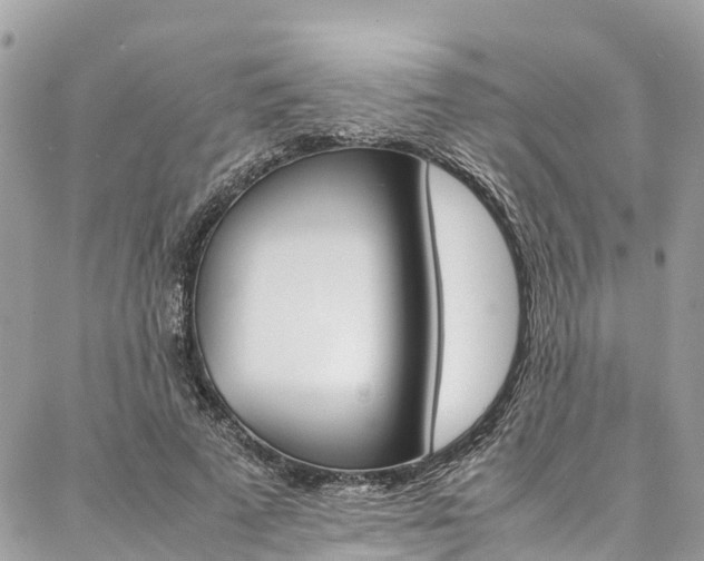 X0000086890689200704161006