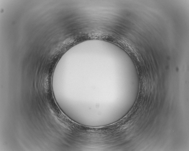 X0000086890690200704161006