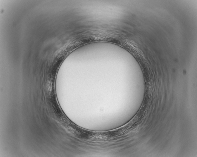 X0000086890691200704161006