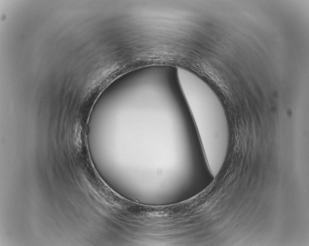 X0000086890692200704161006