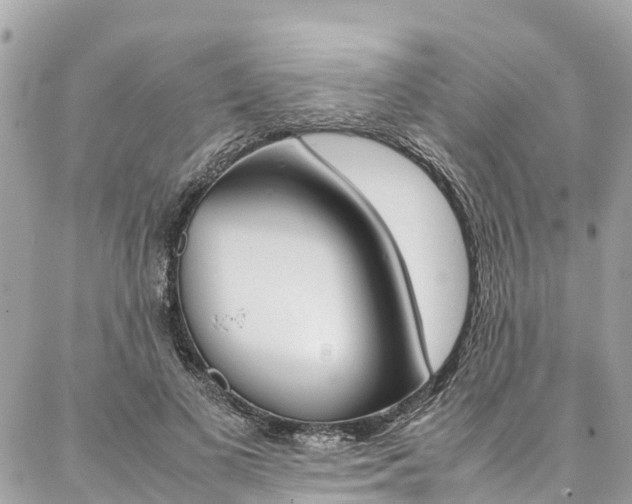 X0000086890693200704161006