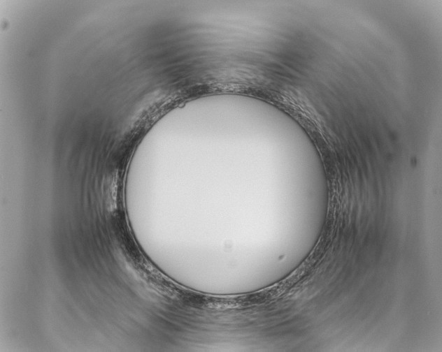 X0000086890694200704161006