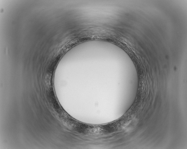 X0000086890695200704161006