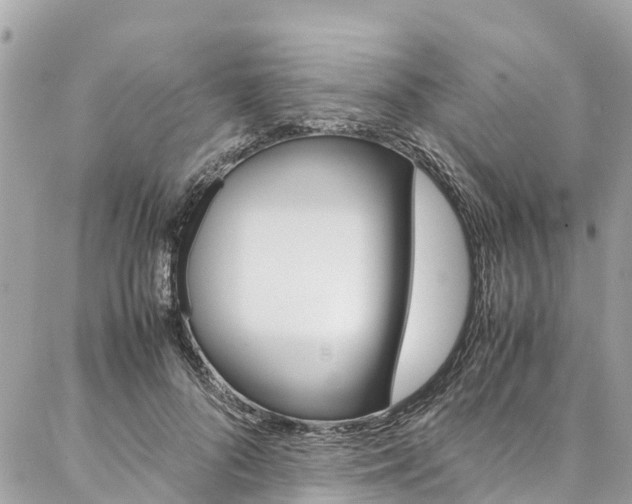 X0000086890696200704161006