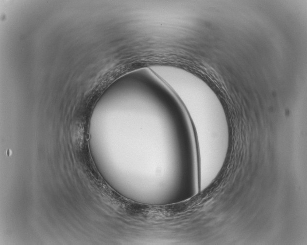 X0000086890697200704161006