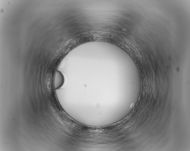 X0000086890698200704161006