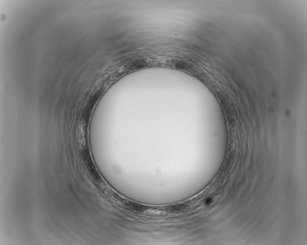 X0000086890699200704161006