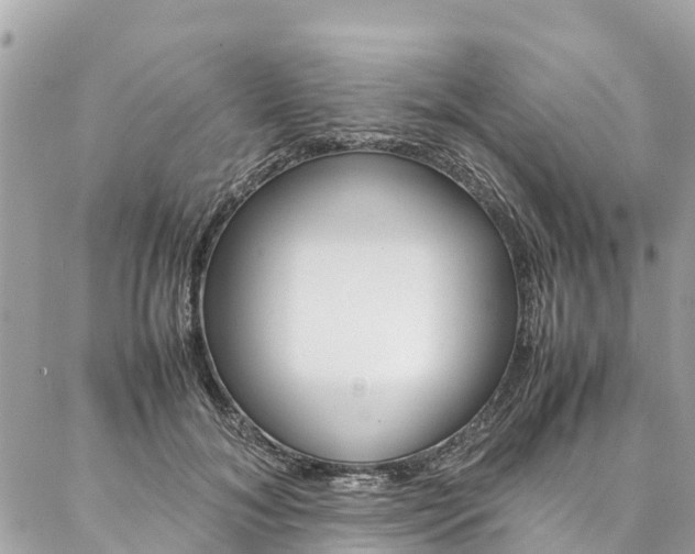 X0000086890700200704161006