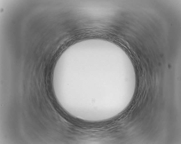 X0000086890701200704161006