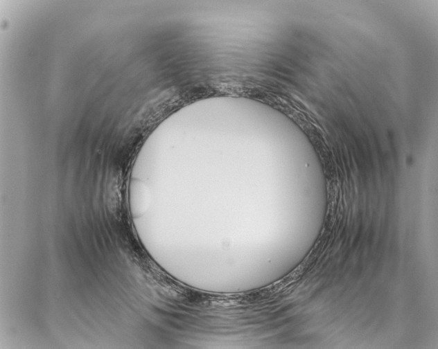 X0000086890702200704161006