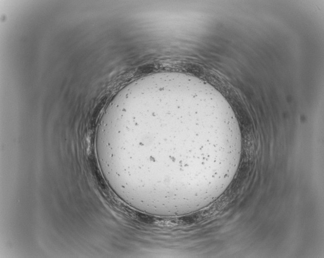 X0000086890703200704161006