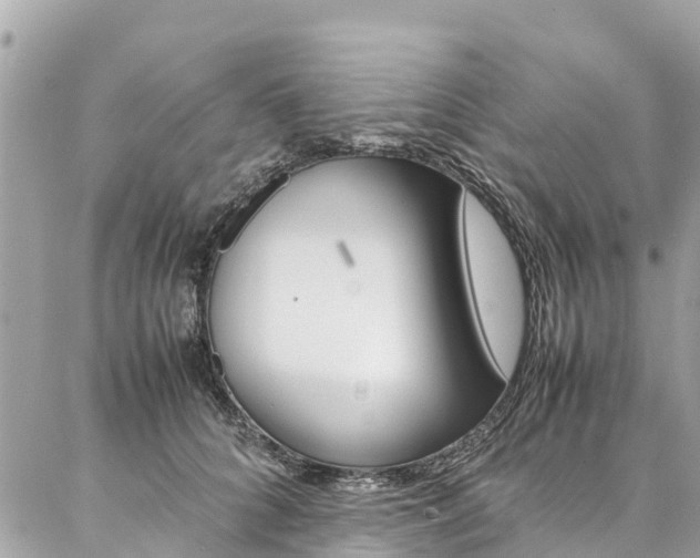 X0000086890704200704161006