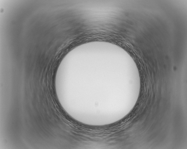 X0000086890705200704161006