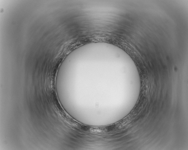 X0000086890706200704161006