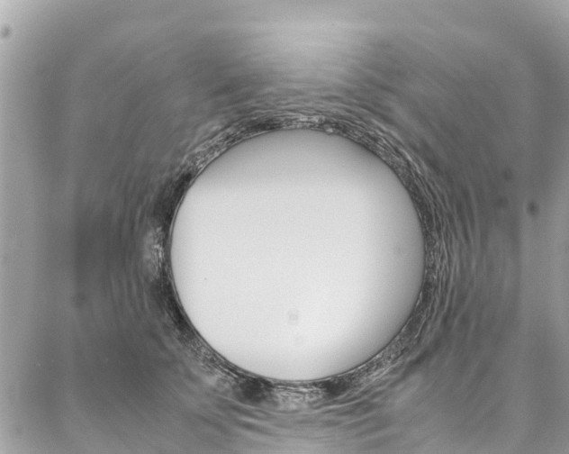 X0000086890707200704161006