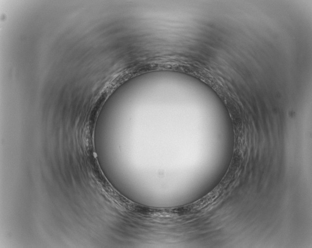 X0000086890708200704161006