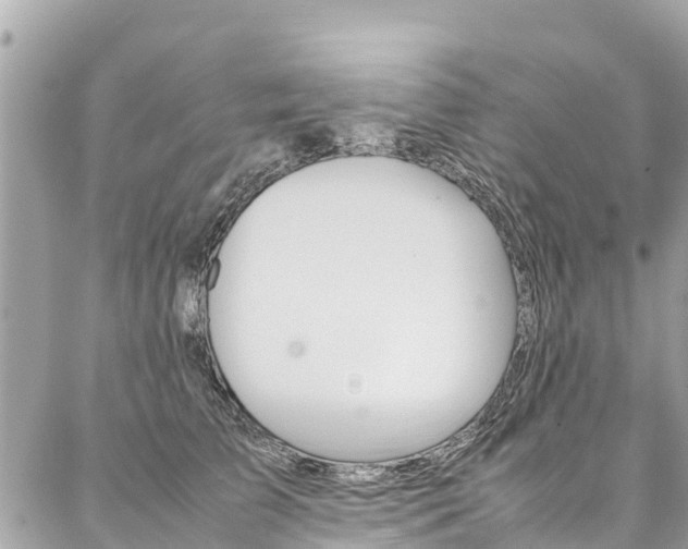 X0000086890709200704161006