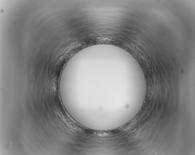 X0000086890710200704161006