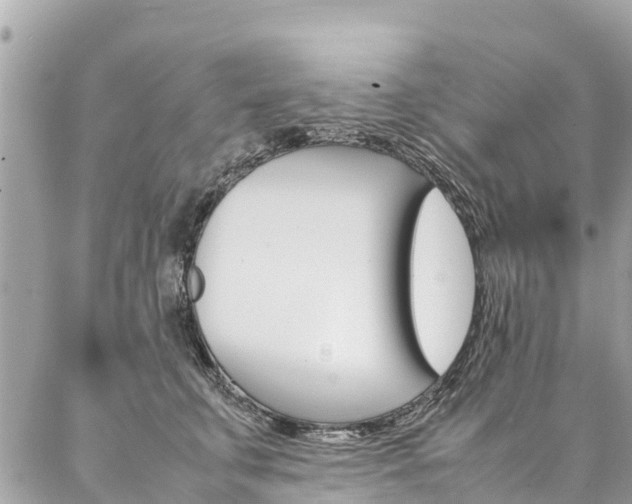 X0000086890711200704161006