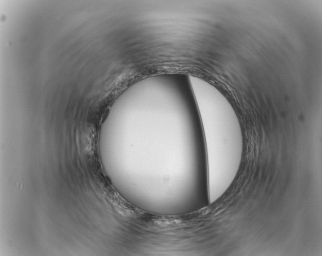 X0000086890712200704161006