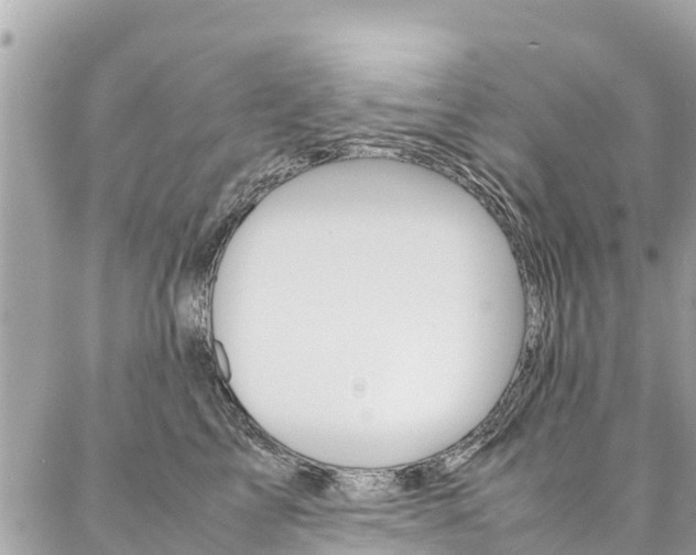 X0000086890713200704161006