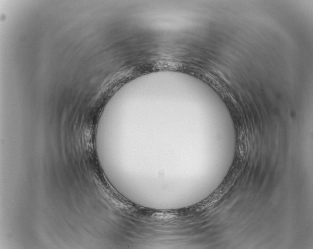 X0000086890714200704161006