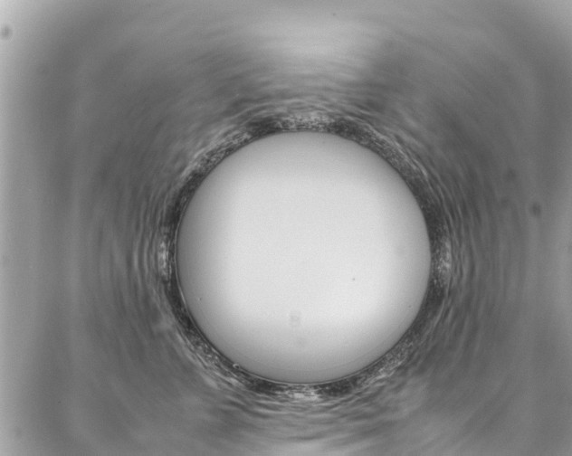 X0000086890715200704161006