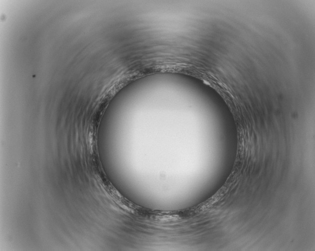 X0000086890716200704161006