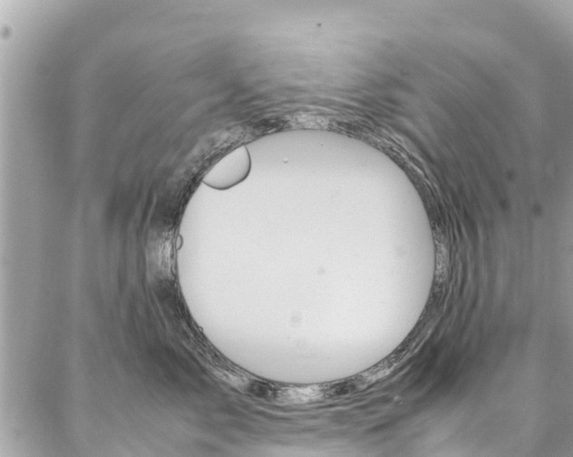 X0000086890717200704161006