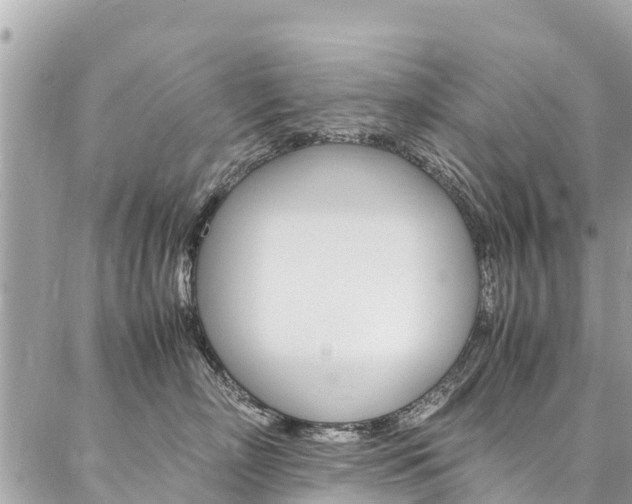 X0000086890718200704161006