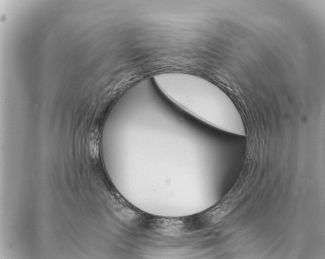 X0000086890719200704161005