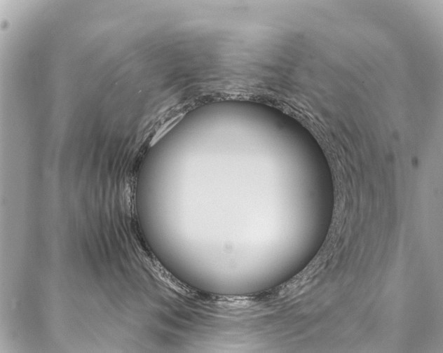 X0000086890720200704161005