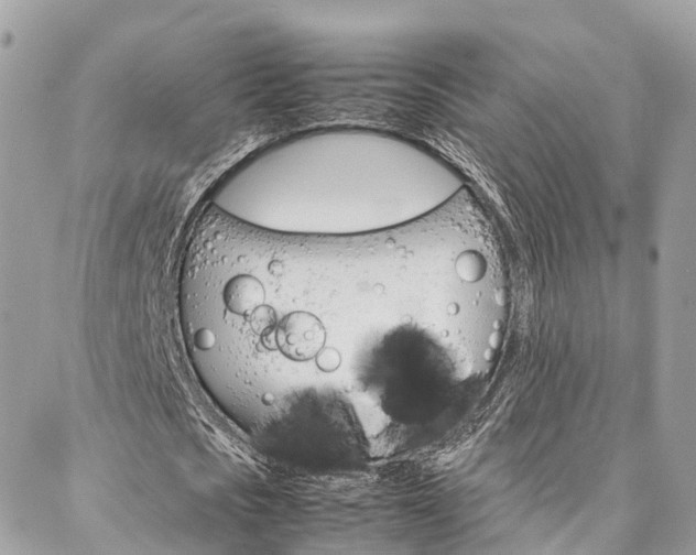 X0000086890721200704161005