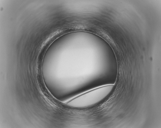 X0000086890722200704161005