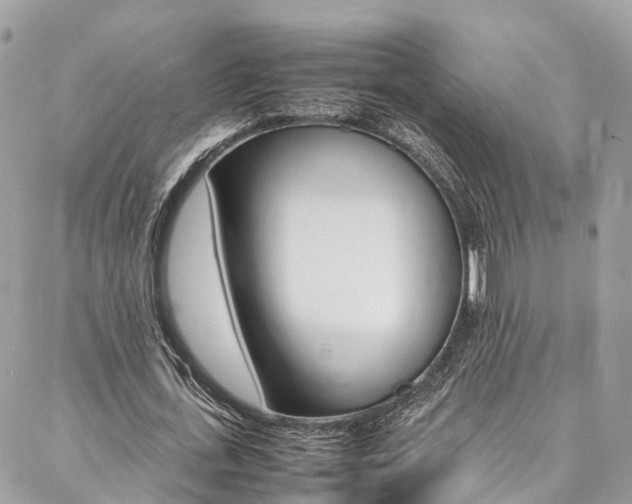 X0000086890723200704161005