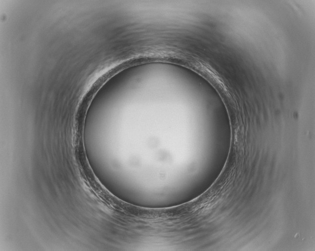 X0000086890724200704161005