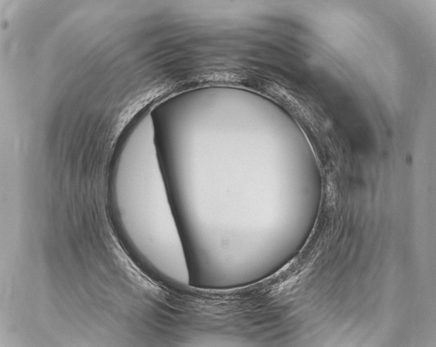 X0000086890725200704161005