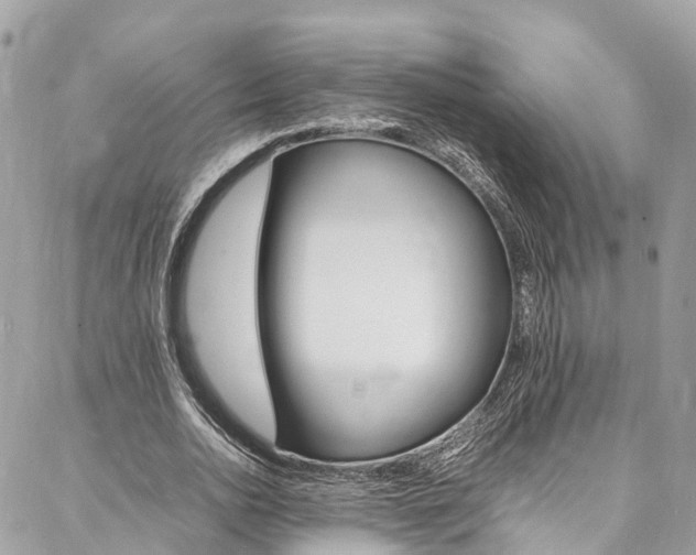 X0000086890726200704161005