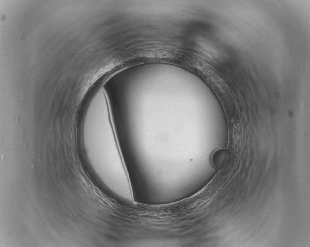 X0000086890727200704161005