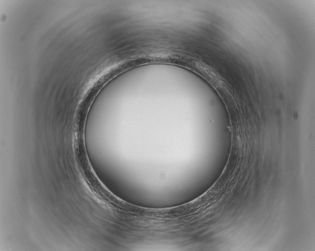 X0000086890728200704161005