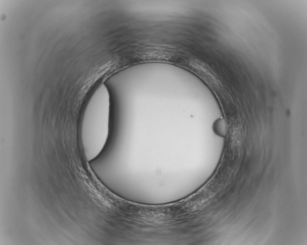 X0000086890729200704161005