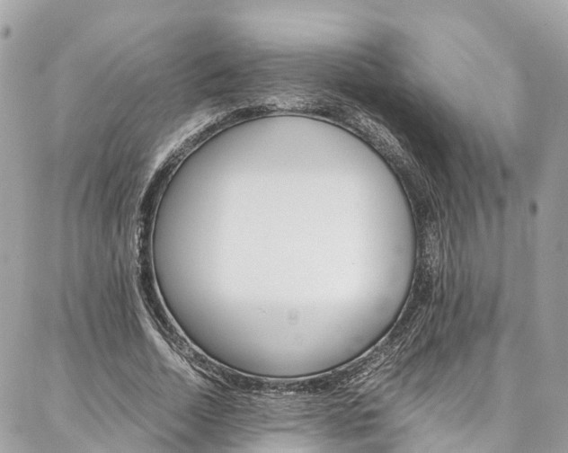 X0000086890730200704161005