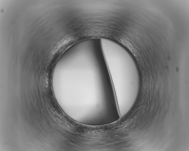 X0000086890731200704161005