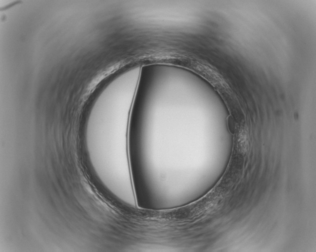 X0000086890732200704161005