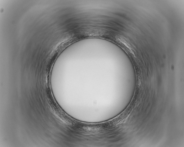 X0000086890733200704161005