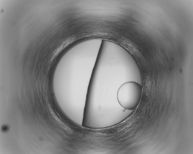 X0000086890734200704161005