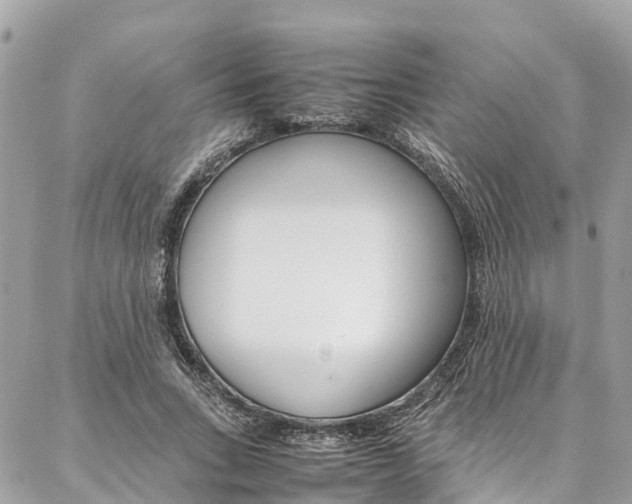 X0000086890735200704161005