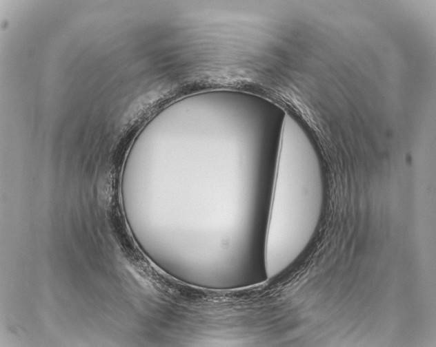 X0000086890736200704161005