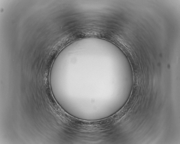 X0000086890737200704161005